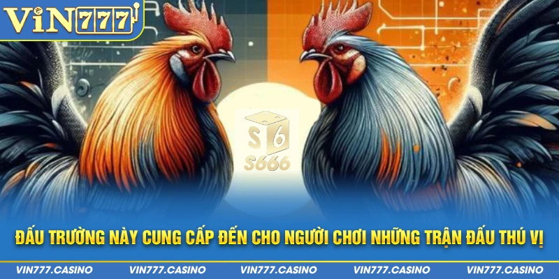 Đấu trường này cung cấp đến cho người chơi những trận đấu thú vị