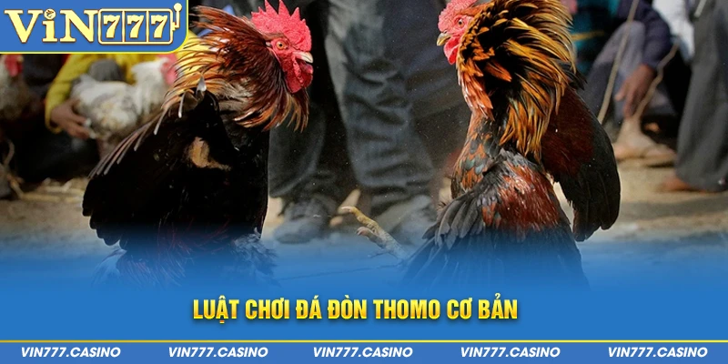 Luật chơi đá đòn thomo cơ bản 