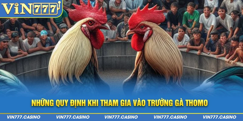 Những quy định khi tham gia vào trường gà thomo