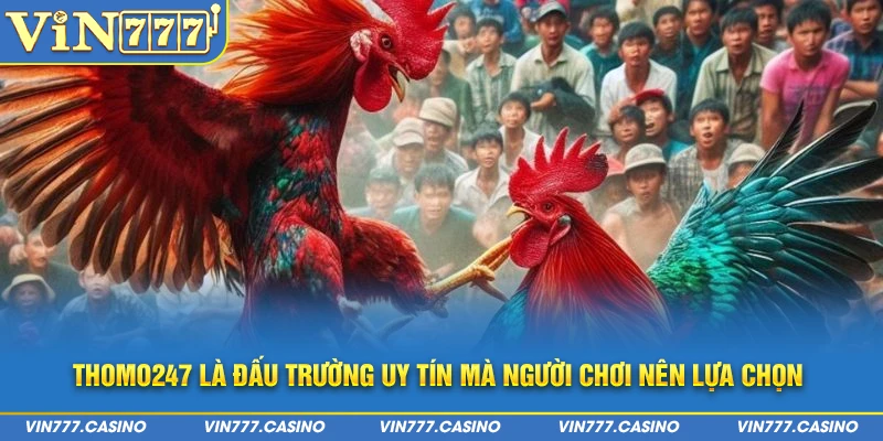 Thomo247 là đấu trường uy tín mà người chơi nên lựa chọn