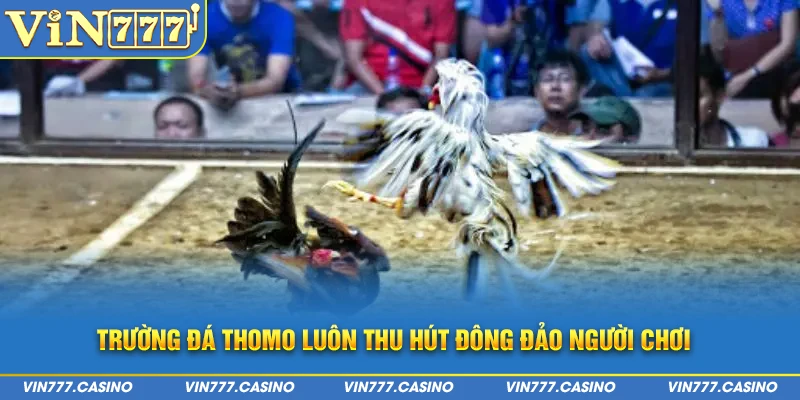 Trường đá Thomo luôn thu hút đông đảo người chơi